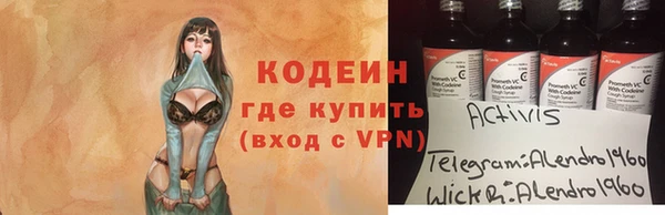 винт Вяземский