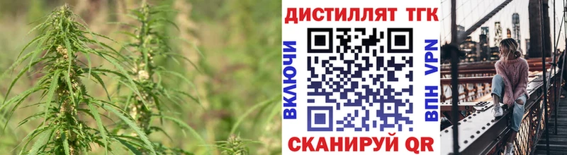 купить закладку  Елец  ТГК концентрат 