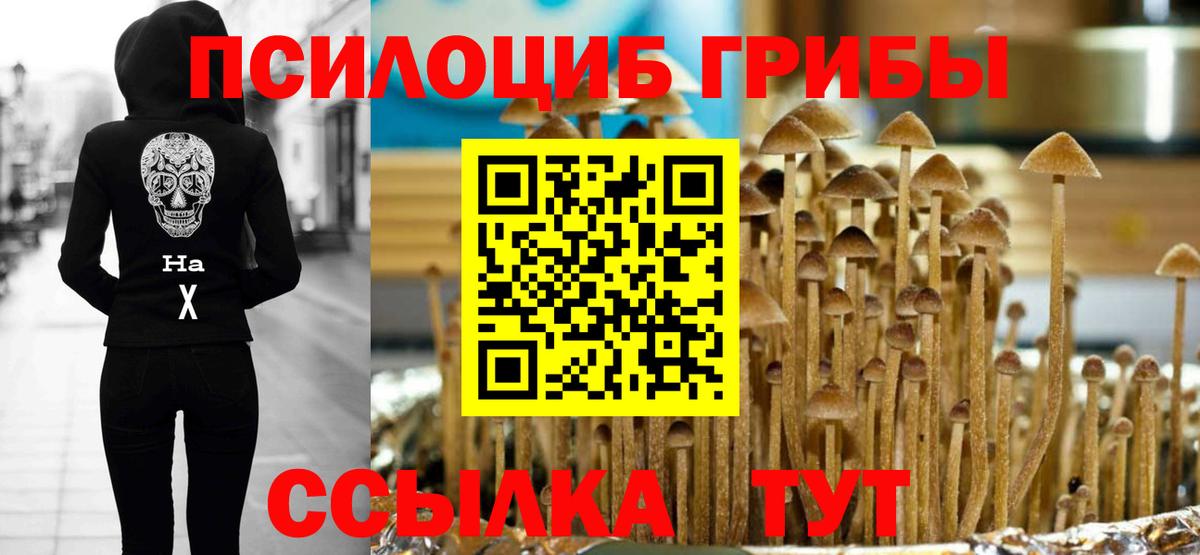 Псилоцибиновые грибы GOLDEN TEACHER Елец